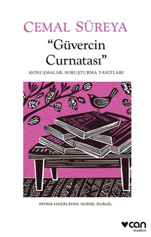 Güvercin Curnatası & Konuşmalar, Soruşturma Yanıtları