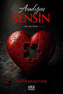 Aradığım Sensin