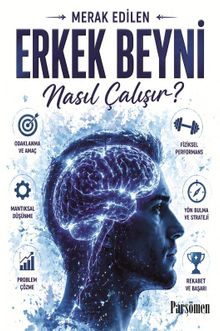 Erkek Beyni Nasıl Çalışır?