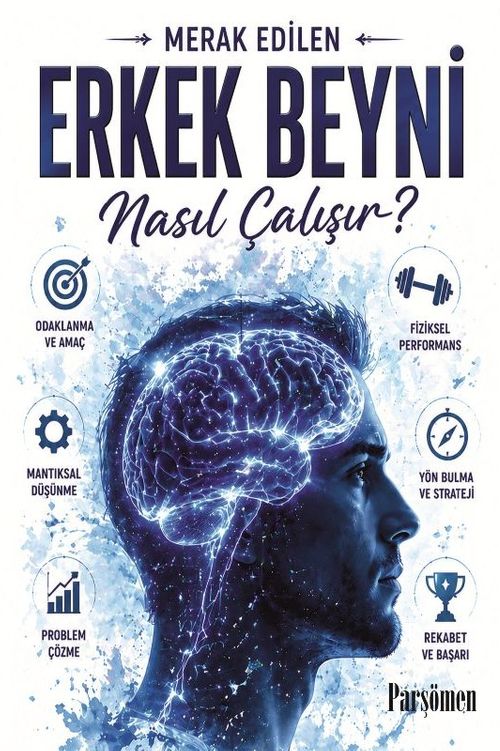 Erkek Beyni Nasıl Çalışır?