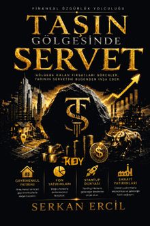 Taşın Gölgesinde Servet