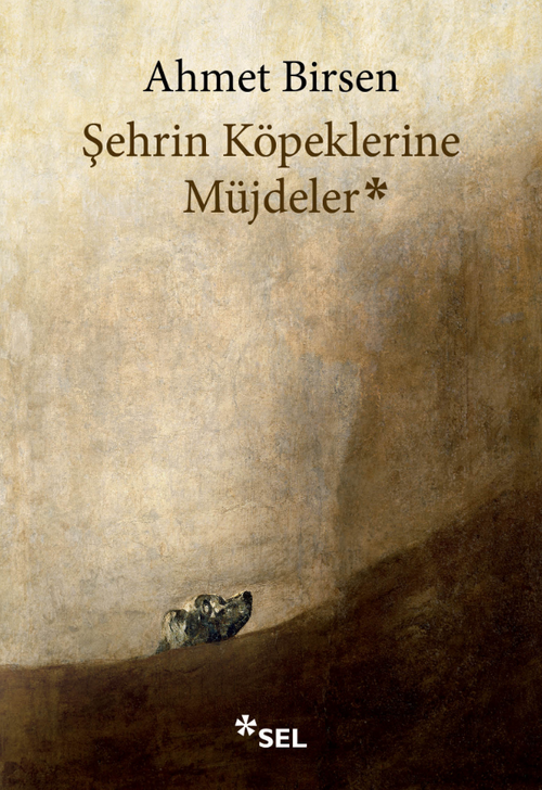 Şehrin Köpeklerine Müjdeler