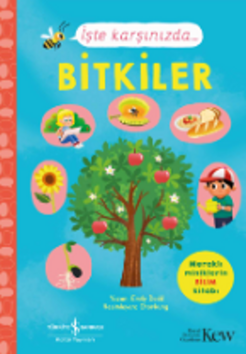 İşte Karşınızda…Bitkiler