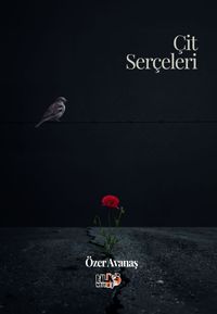 Çit Serçeleri