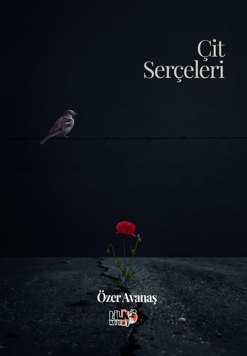 Çit Serçeleri
