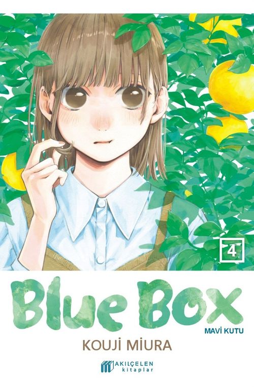 Blue Box / Mavi Kutu 4
