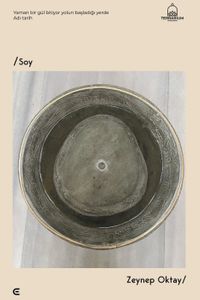Soy