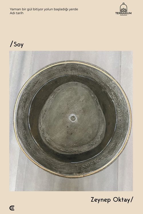 Soy