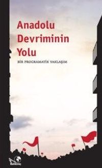 Anadolu Devriminin Yolu & Bir Programatik Yaklaşım