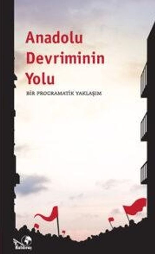 Anadolu Devriminin Yolu & Bir Programatik Yaklaşım