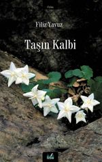 Taşın Kalbi