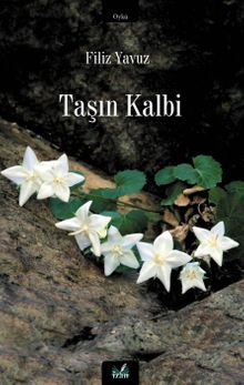 Taşın Kalbi