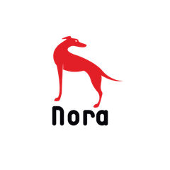 NORA KİTAP
