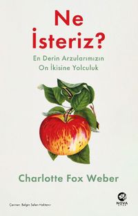 Ne İsteriz: En Derin Arzularımızın On İkisine Yolculuk