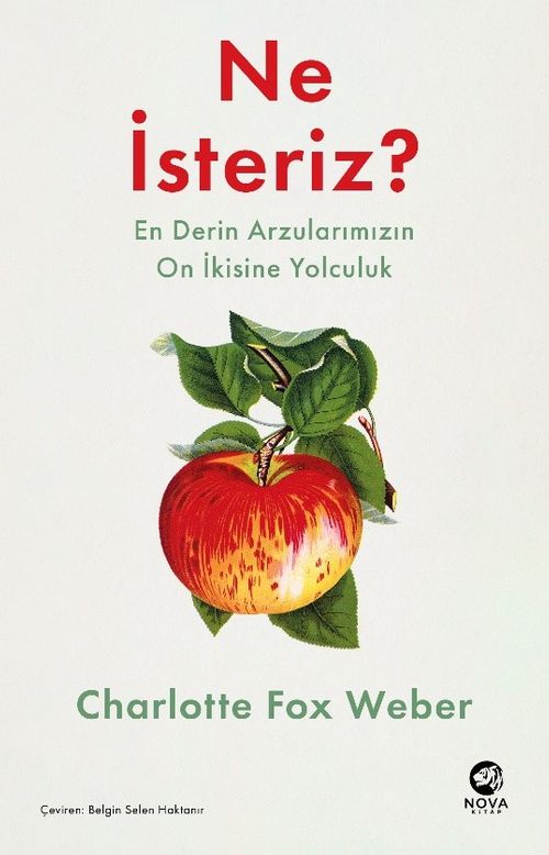 Ne İsteriz: En Derin Arzularımızın On İkisine Yolculuk