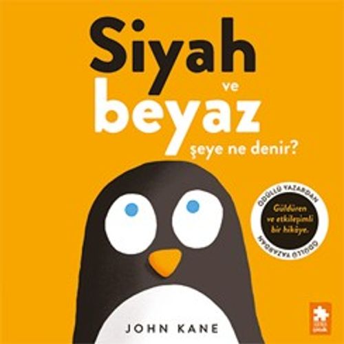 Siyah ve Beyaz Şeye Ne Denir?