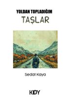 Yoldan Topladığım Taşlar