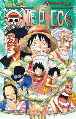 One Piece 60. Cilt / Kardeşim Benim