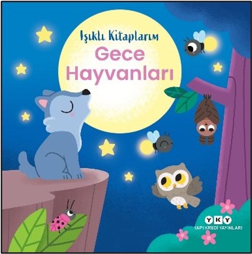 Işıklı Kitaplarım: Gece Hayvanları
