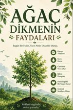 Ağaç Dikmenin Faydaları