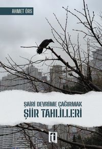 Şairi Devrime Çağırmak & Şiir Tahlilleri