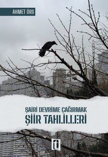 Şairi Devrime Çağırmak & Şiir Tahlilleri