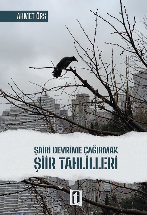 Şairi Devrime Çağırmak & Şiir Tahlilleri