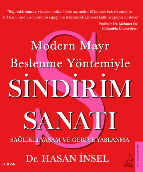 Sindirim Sanatı