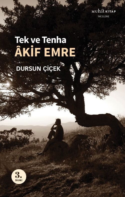 Tek ve Tenha Akif Emre