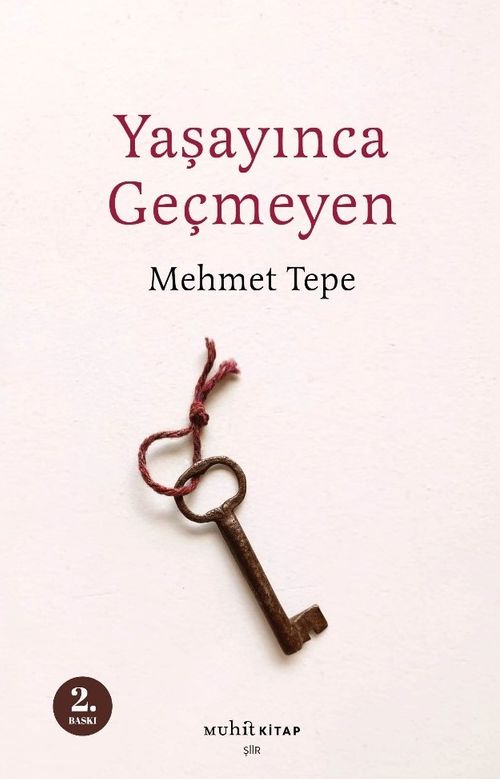 Yaşayınca Geçmeyen