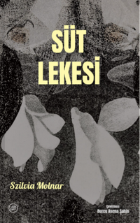Süt Lekesi
