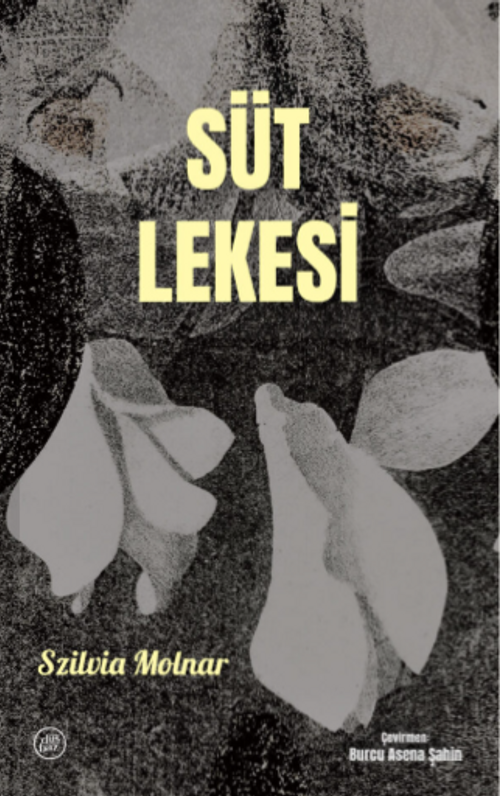 Süt Lekesi