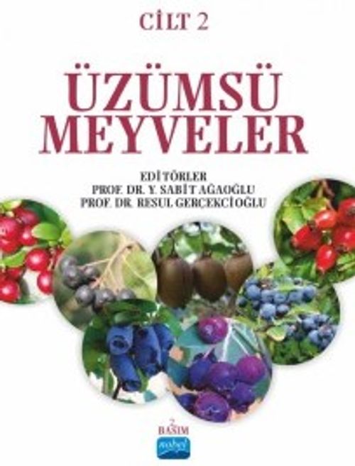 Üzümsü Meyveler - Cilt 2
