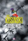 Boyalı Kuş