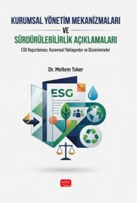 Kurumsal Yönetim Mekanizmaları ve Sürdürülebilirlik Açıklamaları & ESG Raporlaması, Kuramsal Yaklaşımlar ve Düzenlemeler