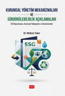 Kurumsal Yönetim Mekanizmaları ve Sürdürülebilirlik Açıklamaları & ESG Raporlaması, Kuramsal Yaklaşımlar ve Düzenlemeler