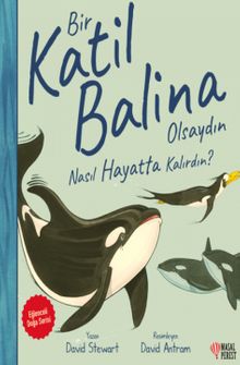 Bir Katil Balina Olsaydın Nasıl Hayatta Kalırdın?