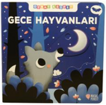 Oynat Keşfet - Gece Hayvanları