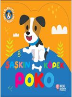 Şaşkın Köpek Poko