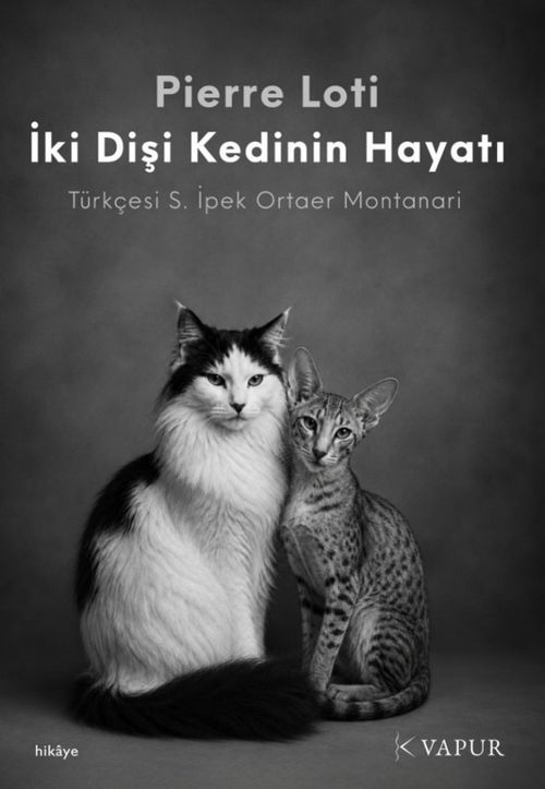 İki Dişi Kedinin Hayatı