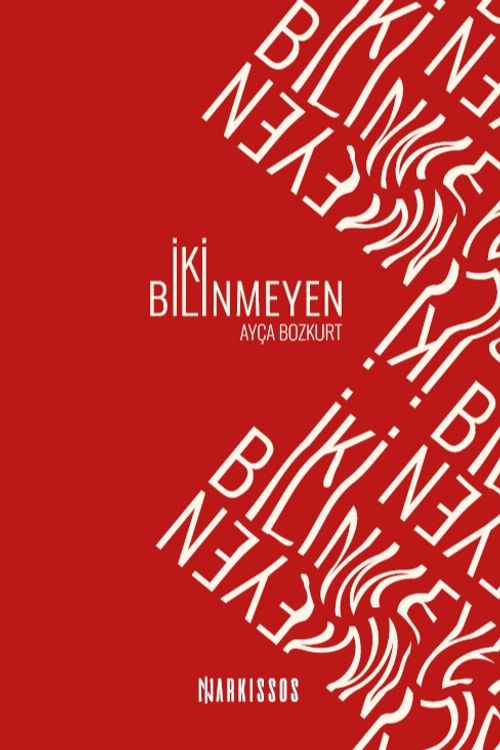 İki Bilinmeyen