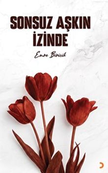 Sonsuz Aşkın İzinde