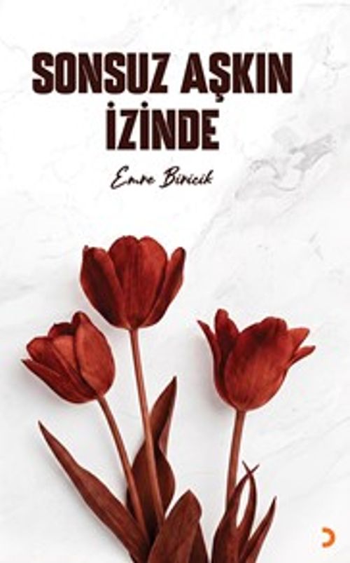 Sonsuz Aşkın İzinde