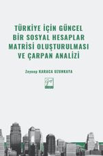 Türkiye İçin Güncel Bir Sosyal Hesaplar Matrisi Oluşturulması ve Çarpan Analizi