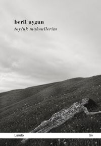 Toyluk Mahsullerim