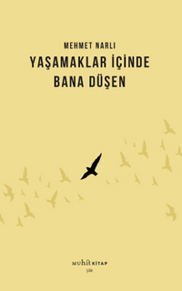 Yaşamaklar İçinde Bana Düşen