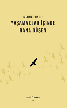 Yaşamaklar İçinde Bana Düşen