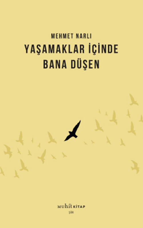 Yaşamaklar İçinde Bana Düşen