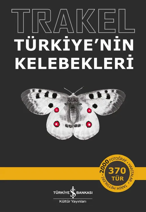 Trakel & Türkiye'nin Kelebekleri