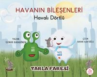 Havali Dörtlü / Tarla Faresi